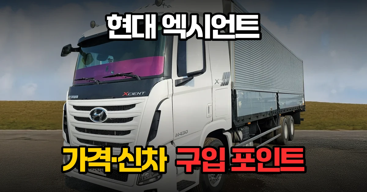 현대 엑시언트 430 십바리 윙바디 중고트럭