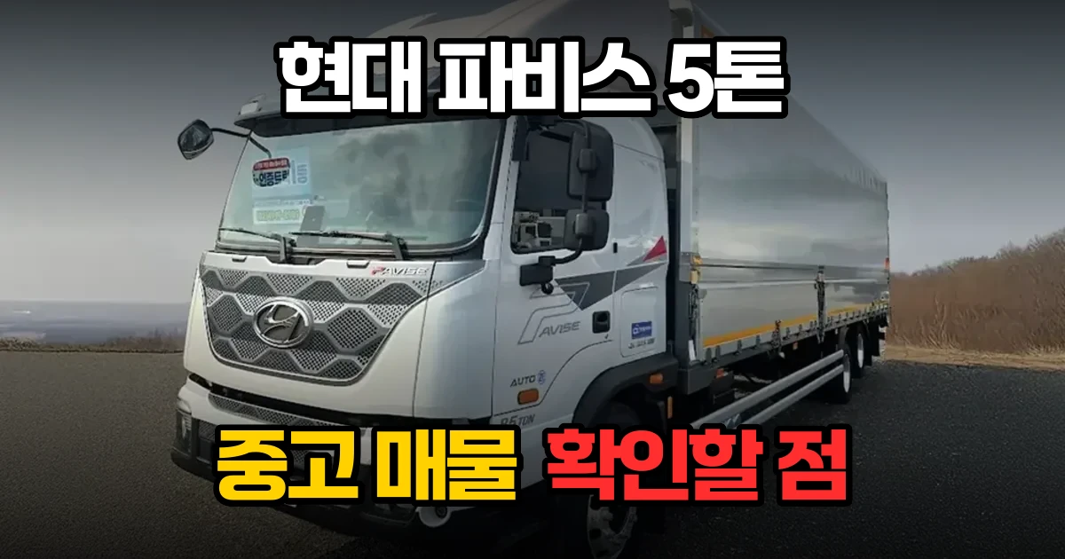 현대 파비스 5톤 중고 매물 점검