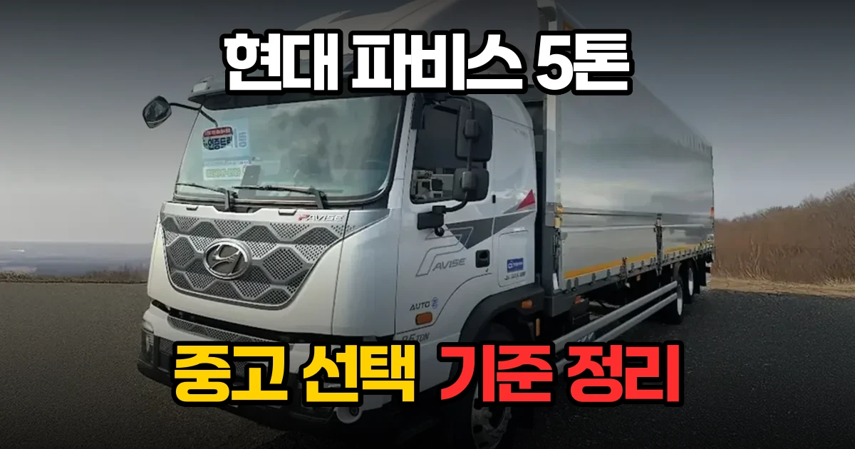 현대 파비스 5톤 중고차 선택